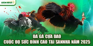 da-ga-cua-dao-cuoc-do-suc-dinh-cao-tai-sannha-nam-2025