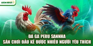 da-ga-peru-sannha-san-choi-dau-ke-duoc-nhieu-nguoi-yeu-thich
