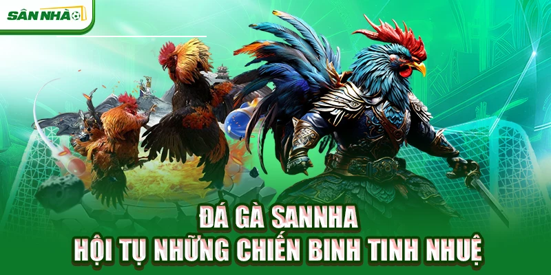 da-ga-sannha-hoi-tu-nhung-chien-binh-tinh-nhue