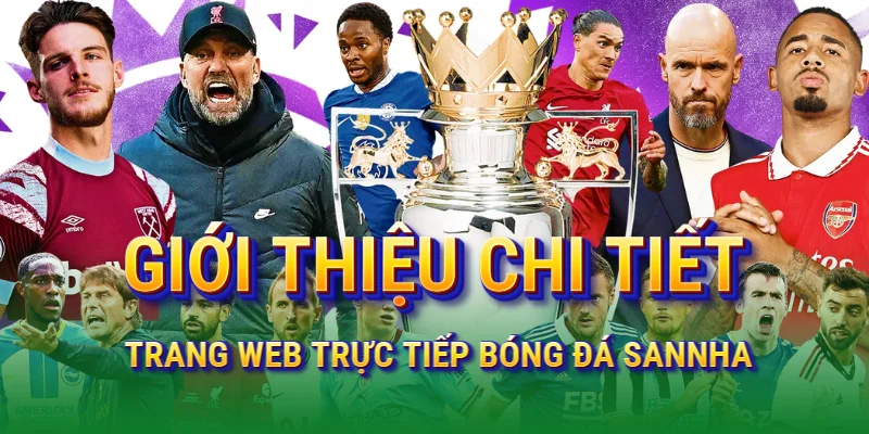 gioi-thieu-chi-tiet-ve-sannha