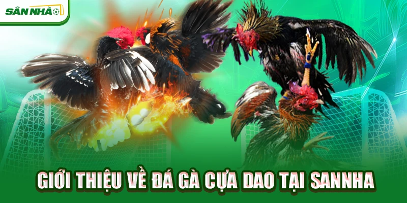 gioi-thieu-ve-da-ga-cua-dao-tai-sannha