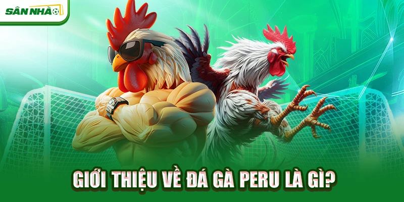 gioi-thieu-ve-da-ga-peru-la-gi