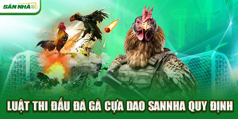 luat-thi-dau-da-ga-cua-dao-sannha-quy-dinh