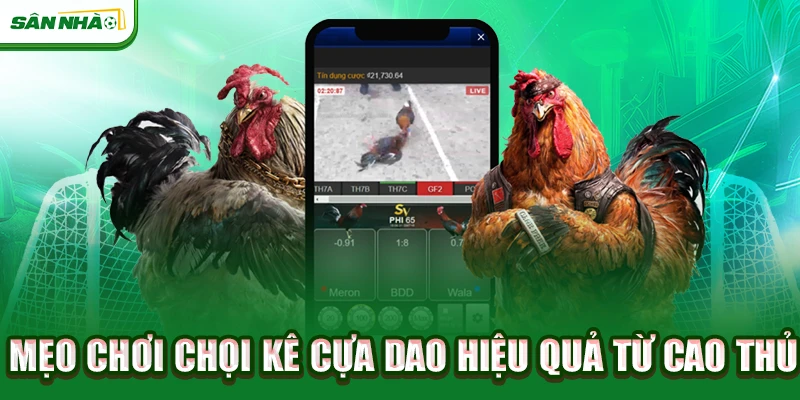 meo-choi-choi-ke-cua-dao-hieu-qua-tu-cao-thu