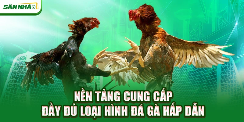 nen-tang-cung-cap-day-du-loai-hinh-da-ga-hap-dan