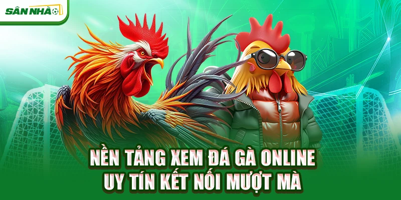 nen-tang-xem-da-ga-online-uy-tin-ket-noi-muot-ma