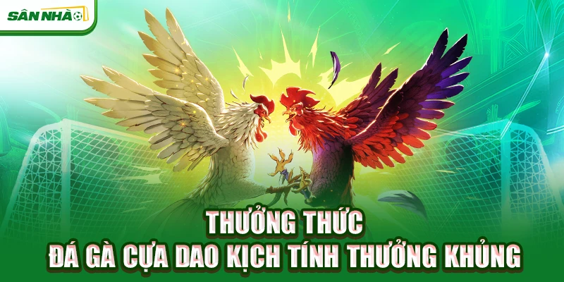 thuong-thuc-da-ga-cua-dao-kich-tinh-thuong-khung